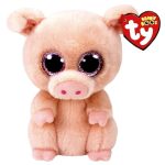 Ty Piggley 