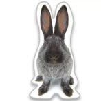 Nyuszis Grey formapárna, díszpárna 22x36 cm