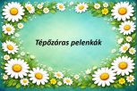 Tépőzáras pelenkák