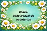 Kádak, kádállványok és babatartók Kádak, kádállványok és babatartók