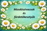 Mosdószivacsok és fürdetőkesztyűk Mosdószivacsok és fürdetőkesztyűk