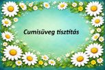 Cumisüveg tisztítás Cumisüveg tisztítás