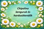 CHIPOLINO kenguruk és hordozókendők CHIPOLINO kenguruk és hordozókendők