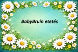 BABYBRUIN etetés