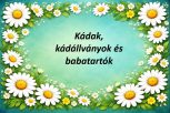 Kádak, kádállványok és babatartók Kádak, kádállványok és babatartók