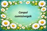 CANPOL cumisüvegek