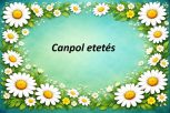 CANPOL etetés