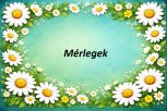 Mérlegek Mérlegek
