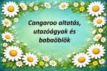 CANGAROO altatás, utazóágyak és babaöblök