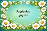 Fogápolás, fogzás