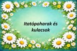 Itatópoharak és kulacsok Itatópoharak és kulacsok
