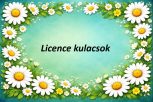 Licence kulacsok