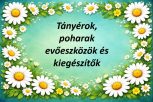Tányérok, poharak, evőeszközök és kiegészítők Tányérok, poharak, evőeszközök és kiegészítők