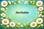 Sterilizálás