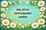 Haj, fül és körömápolás Haj, fül és körömápolás