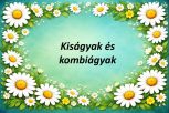 Kiságyak és kombiágyak